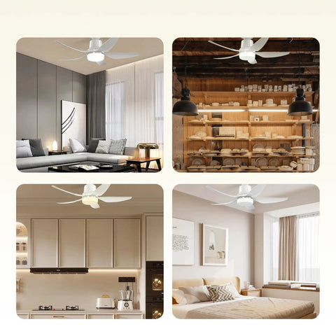 Installed Ceiling Fan Light With Remote, Dimmable LED, Four Speeds, 3000K To 6500K, Up To 1000 Lumens in various rooms