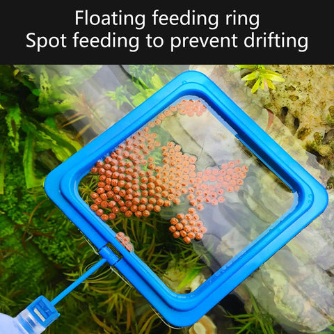 Floating Plant Holder Rings for Fish Tanks Set of 6, Round and Square Fish Food Rings to Protect Plants, Keep Feeding Area Clean, Prevent Plants From Being Sucked Away, and Improve Water Quality in Home Aquariums, blue square ring