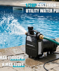 Heavy Duty Cast Iron Water Transfer Pump 115V 1/2HP 1500 GPH Portable Electric Utility Pump draining water by a pool.