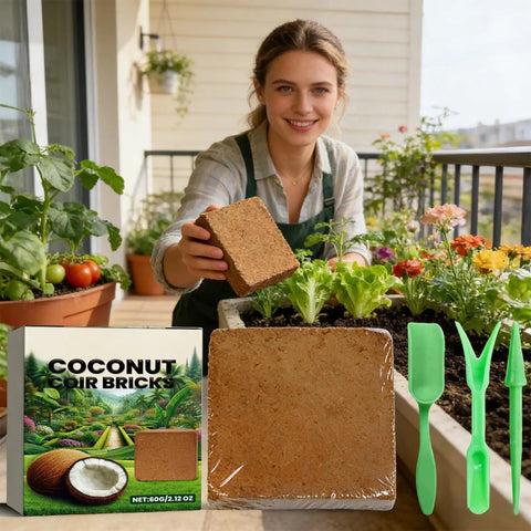 Woman holding compressed reusable coir based planting medium for hydroponics and potting, drains well and keeps roots happy
