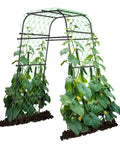 Heavy Duty Garden Arch Trellis for Climbing Plants Outdoor Metal Arbor Support, visible with cucumbers