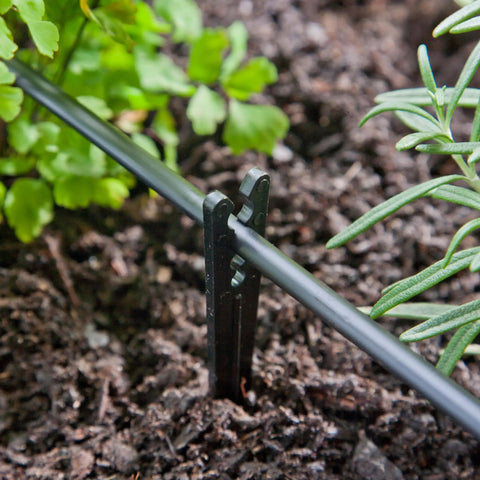 Heavy Duty Drip Irrigation Tubing Stake Set 6 Inch Plastic Black Stakes to secure supply tubing and keep emitters near roots
