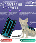 Protective Pup Pad For CoyoteVest Or SpikeVest Harness Add On Stab Resistant Shield To Guard Your Pup From Birds Of Prey Raptors Hawks Coyotes And Attacks Small Turquoise with dog wearing vest