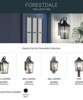 Forestdale 14.75 Inch One Light Outdoor Wall Lantern With Clear Seeded Glass In Olde Bronze Finish, illuminated at night on wall