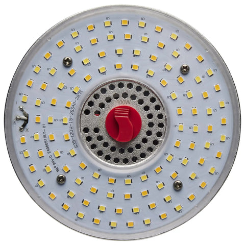 LED Corn Cob Lamp With 360 Degree Light, Adjustable Wattage 120W/100W/80W And Color Temperature 3000K/4000K/5000K, close-up of LED surface