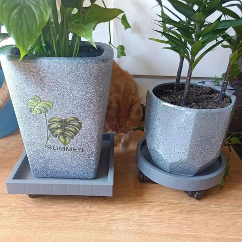 11 Inch Heavy Duty Plant Caddie With Wheels Rolling Planter Stand And Wheeled Pot Trolley holding potted plants indoors