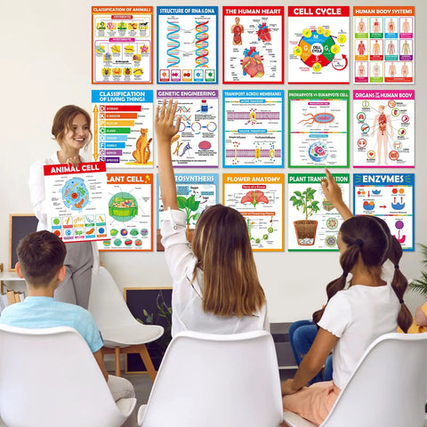 Teacher using 16 Pack Life Science Biology Posters For Classroom Decor Anatomy And Cell Structure Charts DNA Photosynthesis to teach students