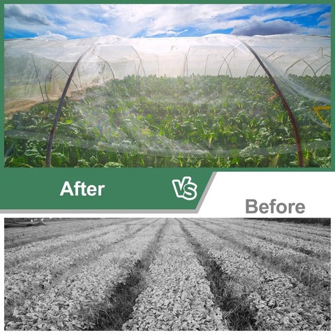 No Frills Pest Barrier Garden Netting For Raised Beds And Greenhouses, Insect Mesh Netting 10 By 50 Feet installed over crops