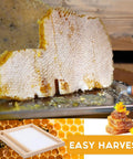 Honeycomb slice showcasing solar fume board for beehives, universal 8 frame and 10 frame inner cover with metal top