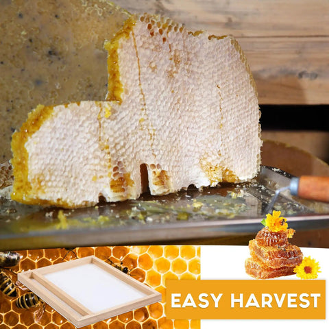 Honeycomb slice showcasing solar fume board for beehives, universal 8 frame and 10 frame inner cover with metal top