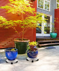 13 Inch Plant Caddy With Four Wheels For Heavy Planters And Deck Use holding blue planters on patio, corrosion resistant PP resin, 120lbs load