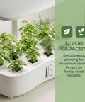 Smart Soilless Indoor Garden System With 12 Pods Hydroponics Kit growing herbs with full spectrum LED in a 3.8L tank