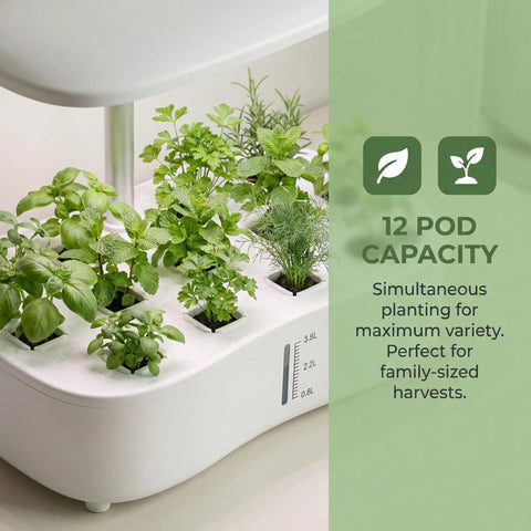 Smart Soilless Indoor Garden System With 12 Pods Hydroponics Kit growing herbs with full spectrum LED in a 3.8L tank