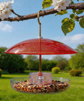 8 Inch Weather Guard Dome For Bird Feeder Red Protective Cover Shields Rain Snow Sun 20cm Diameter Fits Smaller Feeders