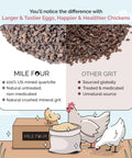 Chicken Grit For Layer And Grower Chickens Ages 8 Weeks And Up, 100 Percent Natural Mineral Quartzite Poultry Grit USA Mined infographic