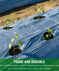 Black Plastic Sheeting Roll 4 Mil Thick 8 By 100 Feet Heavy Duty Workhorse Polyethylene Vapor Barrier Tarp used for plant coverage