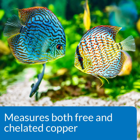Straight Up Legit Copper Test Kit For Aquariums Using 90 Quick Liquid Drops Fo Sho Accurate Tracking with colorful fish in the background.