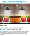 High CRI 95 comparison with Vintage Edison Style LED Filament Bulbs 4000K for true colors in fresh produce display
