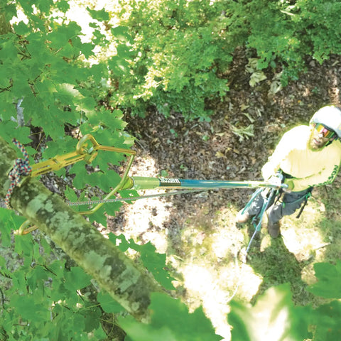 Arborist using Rope Sniper Pro Arborist Tool for effortless rope placement and laser sharp precision in a tree rigging job