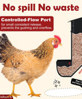 Chicken next to Grit And Oyster Shell Feeder Combo No Spill Weatherproof Heavy Duty Design Lift Off Wall Mounted Metal Dispenser