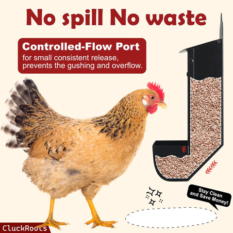 Chicken next to Grit And Oyster Shell Feeder Combo No Spill Weatherproof Heavy Duty Design Lift Off Wall Mounted Metal Dispenser