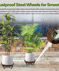 Two potted plants on Heavy Duty Rolling Plant Caddy With Wheels 12 Inch Plant Stand Supports Up To 320 Lbs Durable Metal Construction With Locking Casters Rust Resistant Finish.