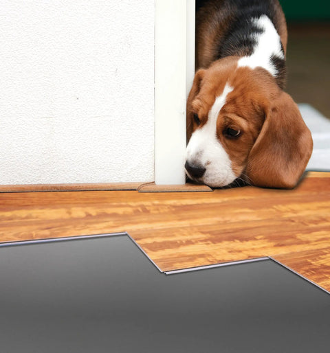 Premium Underlayment For Luxury Vinyl Laminate And Hardwood Floors Beat The Noise Sound Pad 100 Square Foot Roll beside a dog.