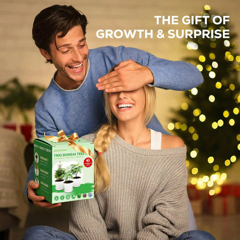 Couple smiling with Three Bonsai Kits In One Box Beginners Indoor Growing Starter Set With Tools Planter Soil And Clear Guide Easy DIY