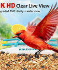 2K HD Bird Feeder Camera with solar power, showing a red bird landing on seed, emphasizing live view clarity and AI detection.