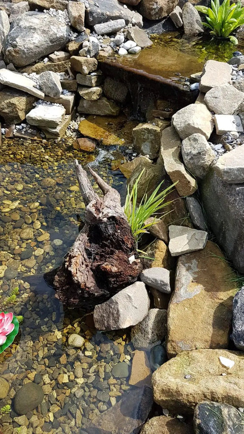 Water garden featuring Round Plant And Flower Baskets Variety Pack for aquaponics and hydroponics setup with rocks and plants.
