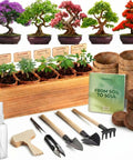 Indoor Bonsai Tree Kit For Beginners Complete Growing Set With Live Plants A Chill Starter Kit For Garden Lovers