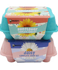 Two Pack Indoor Flower Grow Kit With Colorful Egg Cartons, Sunflower And Daisy Seeds, Eco Friendly Growing Medium
