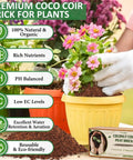 2 Pack Premium Coco Coir Brick For Plants, 100 Percent Organic Coconut Coir Growing Medium For Seedlings, Pots And Gardens