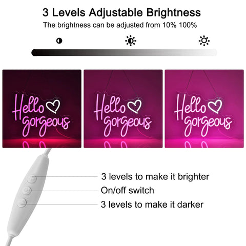 Pink Neon Sign For Wall Decor Reusable LED Light Sign With Dimmable Switch Party Ready For Bachelorette Parties Engagement Parties Weddings And Birthday Celebrations USB Powered Flexible Silicone LED Strip On Clear Acrylic Board 17 By 12 Inches showing brightness levels and switch control
