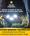 Solar Powered Outdoor Flood Light With Motion Sensor, illuminating garden, emphasizing solar charging and motion sensing features