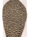 Grizzly Rooster Cape For Birds Leash Friendly Formal And Holiday Birdwear Outfit For Pets in packaging with label