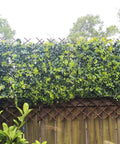 Expandable Willow Garden Trellis Plant Support Lattice Fence Panel For Climbing Plants installed on a wooden fence.