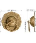 Brilliant Sun Brass Cabinet Pulls Set Of 2 4.5 Inch Wide Architectural Hardware, front and side view with measurements