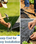 Heavy Duty 6 Inch U Shaped Galvanized Garden Stakes Pack Of 240 11 Gauge Landscape Staples For Landscape Fabric Pins Ground Stakes And Yard Decor For DIY Projects shown in use securing fabric in grass and soil.