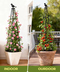 Two Pack Garden Trellis Obelisk with plants indoors and outdoors, 65 inch tall, rustproof metal frame, waterproof coating.