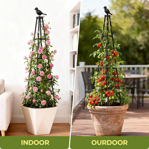 Two Pack Garden Trellis Obelisk with plants indoors and outdoors, 65 inch tall, rustproof metal frame, waterproof coating.