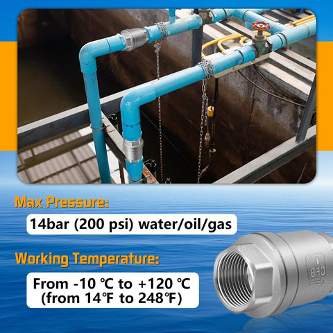 Boltigen 1-inch stainless steel spring check valve on blue water piping