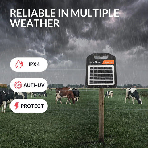 Portable Solar Fence Charger With Day Night Mode Up To 10 Miles Of Coverage displayed on farm field with cows in rain