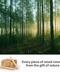 Forest scenery with sunlight filtering through trees, featuring stacked wooden planks as an inset image, illustrating natural wood sourcing.