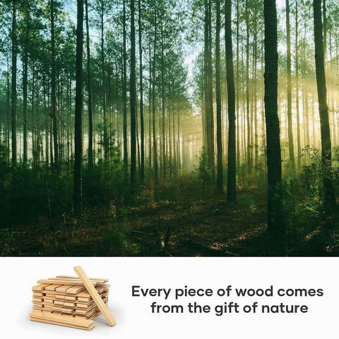 Forest scenery with sunlight filtering through trees, featuring stacked wooden planks as an inset image, illustrating natural wood sourcing.