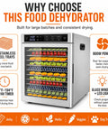 Big League 12 Tray Commercial Food Dehydrator Machine 800 Watts Dries Up To 30 Pounds No Sweat In One Fast Batch built with 12 stainless steel trays.