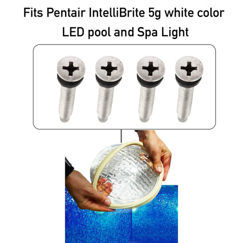 Heavy Duty Stainless Pool Light Screw Kit With Gasket Washers That Fits Pentair IntelliBrite Amerlite And SAM Amerlite Pool And Spa Lights Easy Install Weather Resistant Corrosion Proof, 1-1/4 inch screws