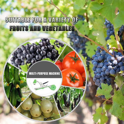 Collage showing plant tying gun for grapes raspberries tomatoes vining vegetables with 10000 staples and 20 rolls tape.