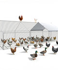 Heavy Duty Metal Chicken Coop With Lockable Door And Waterproof UV Cover, 20x10x6.5 Feet Yard Run with chickens and ducks outside