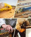 Beekeeping Hive Tools Set Pro Grade With Stainless Steel J Hook And L Hook Frame Lifter Scraper in use for hive maintenance